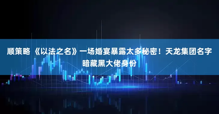 顺策略 《以法之名》一场婚宴暴露太多秘密！天龙集团名字暗藏黑大佬身份